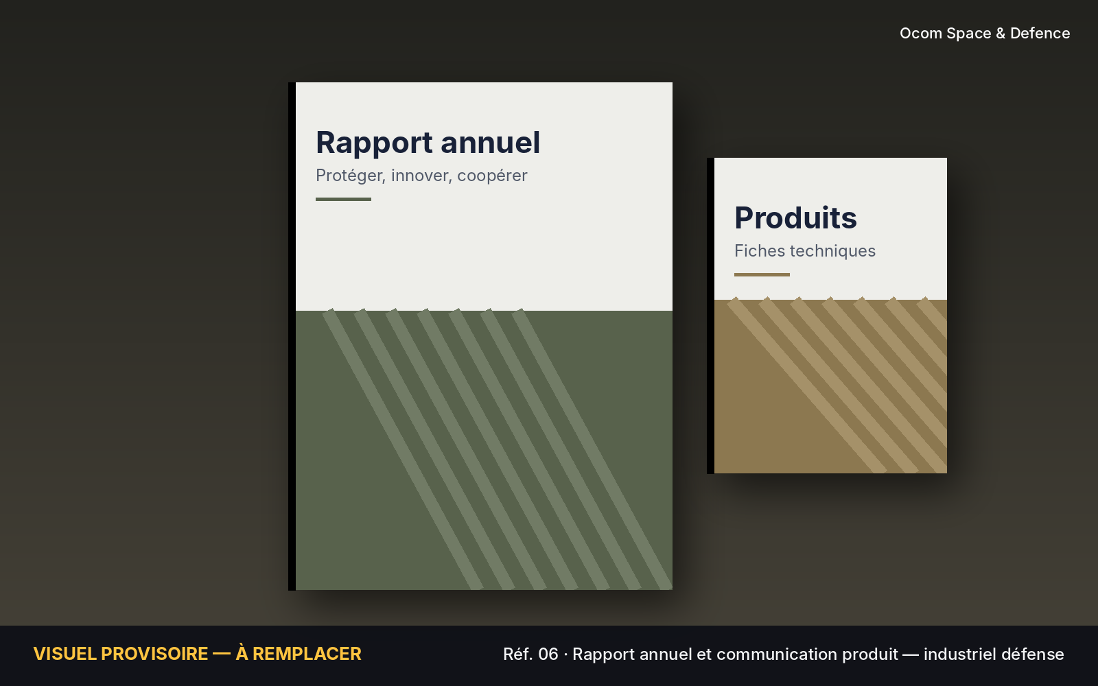Rapport annuel et fiches produits de KNDS